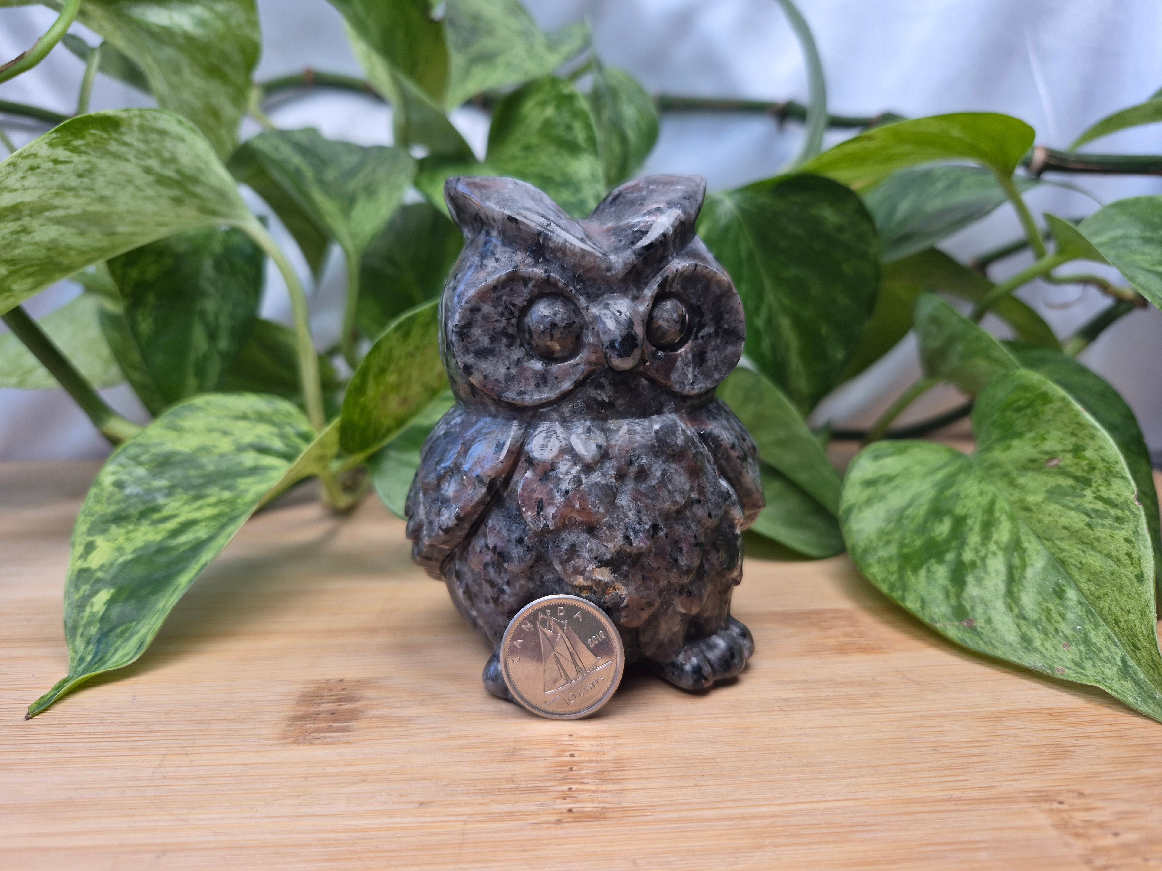 YOOPERLITE OWL