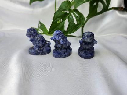 SODALITE SQUIRTLE