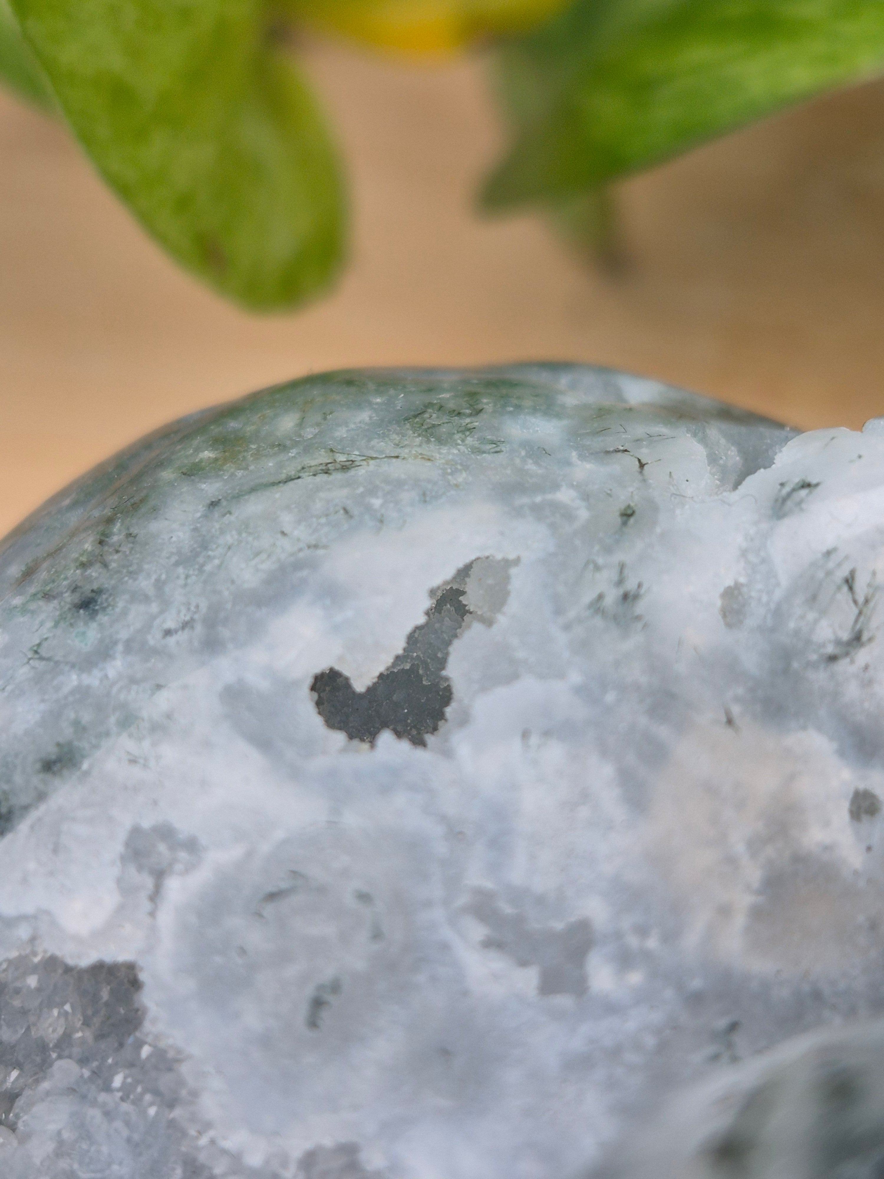 MOSS AGATE BULBASAUR