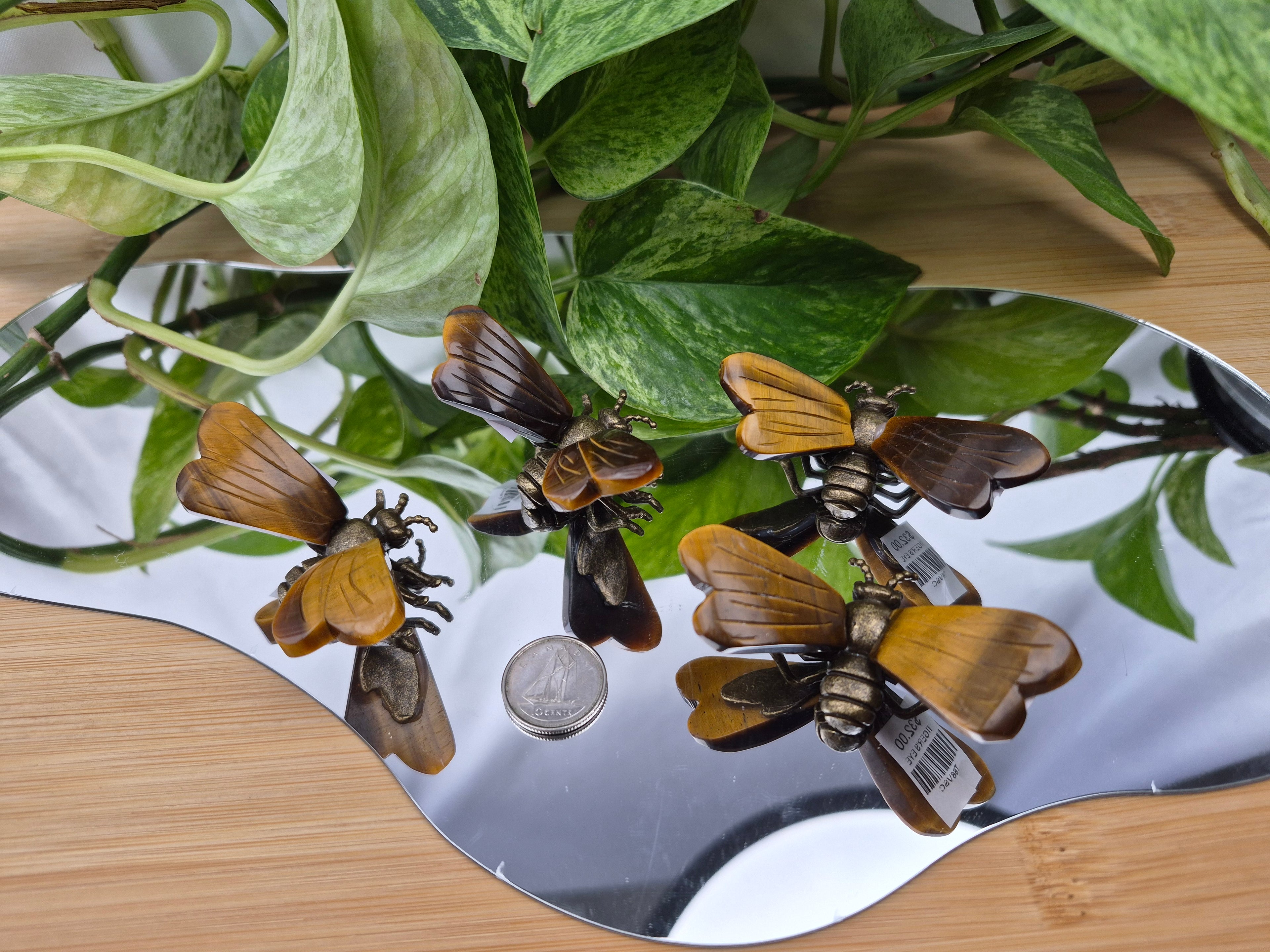 TIGERS EYE BEE