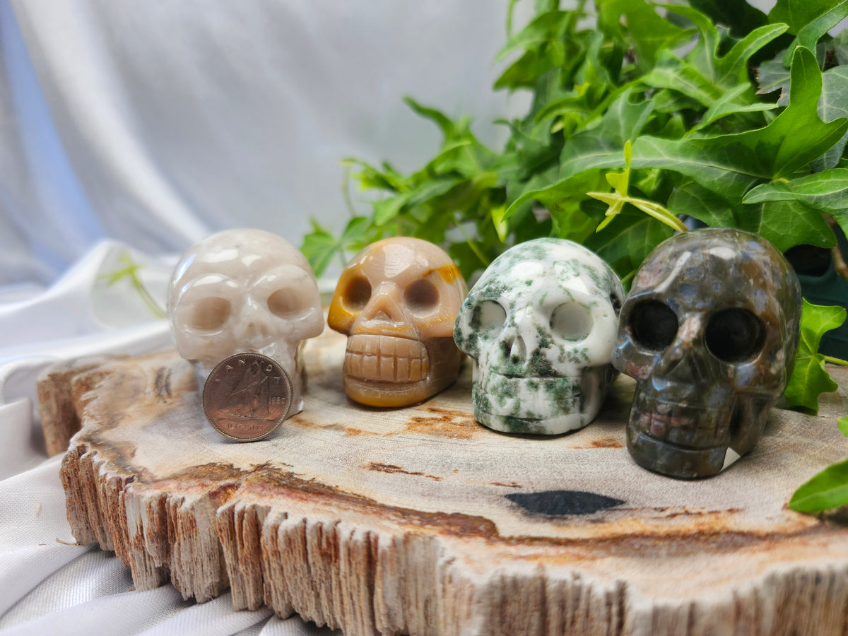 MIXED MATERIAL SKULL