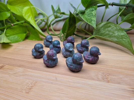 RUBY IN KYANITE DUCK