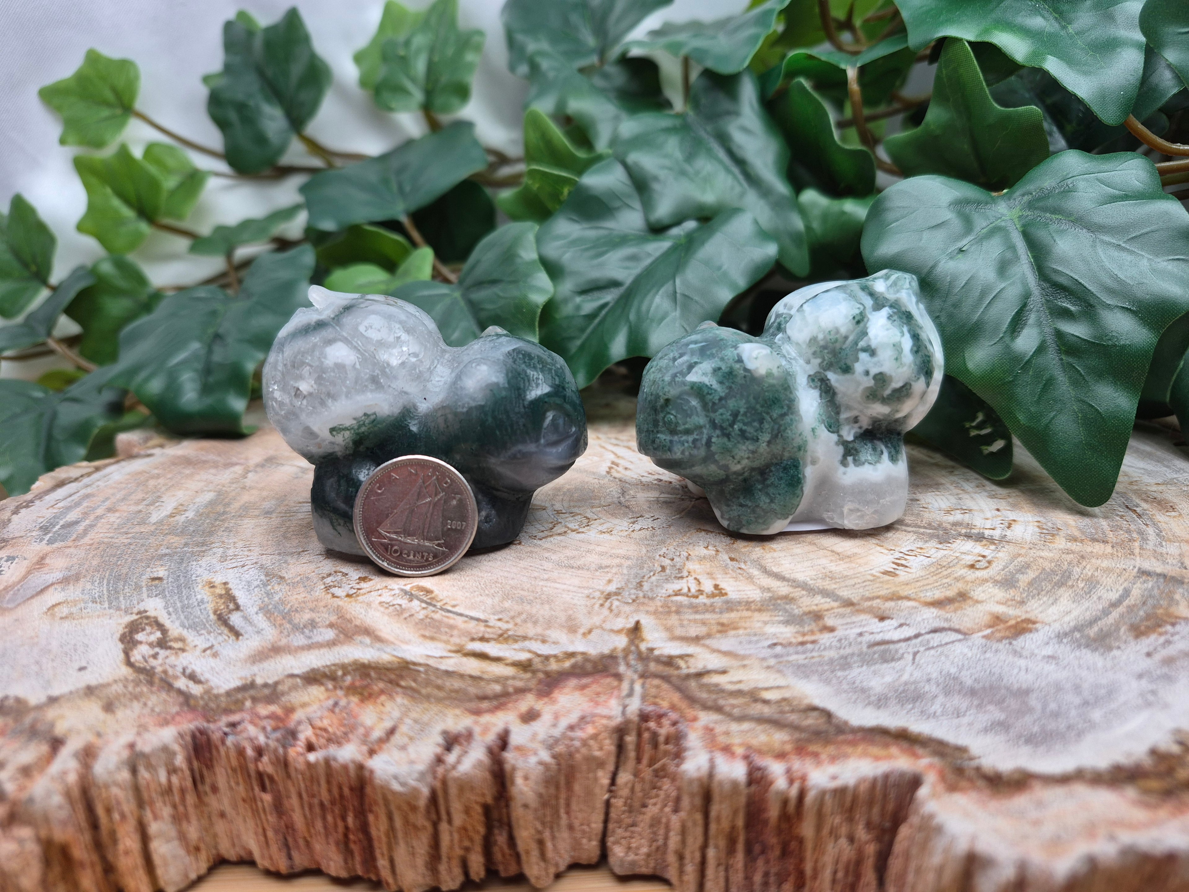 MOSS AGATE BULBASAUR