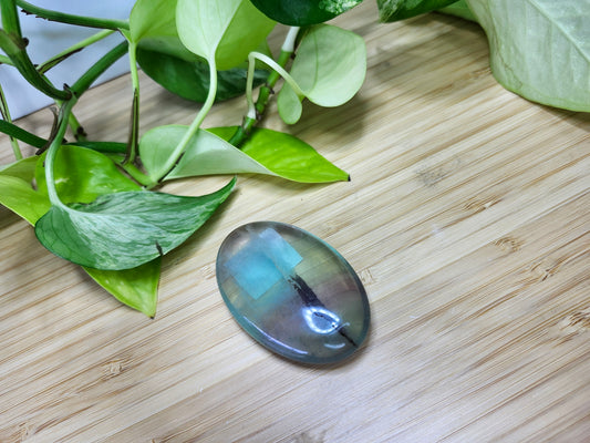 FLUORITE PALM