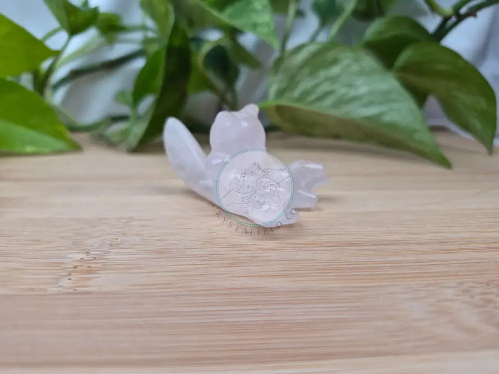 ROSE QUARTZ ABRA