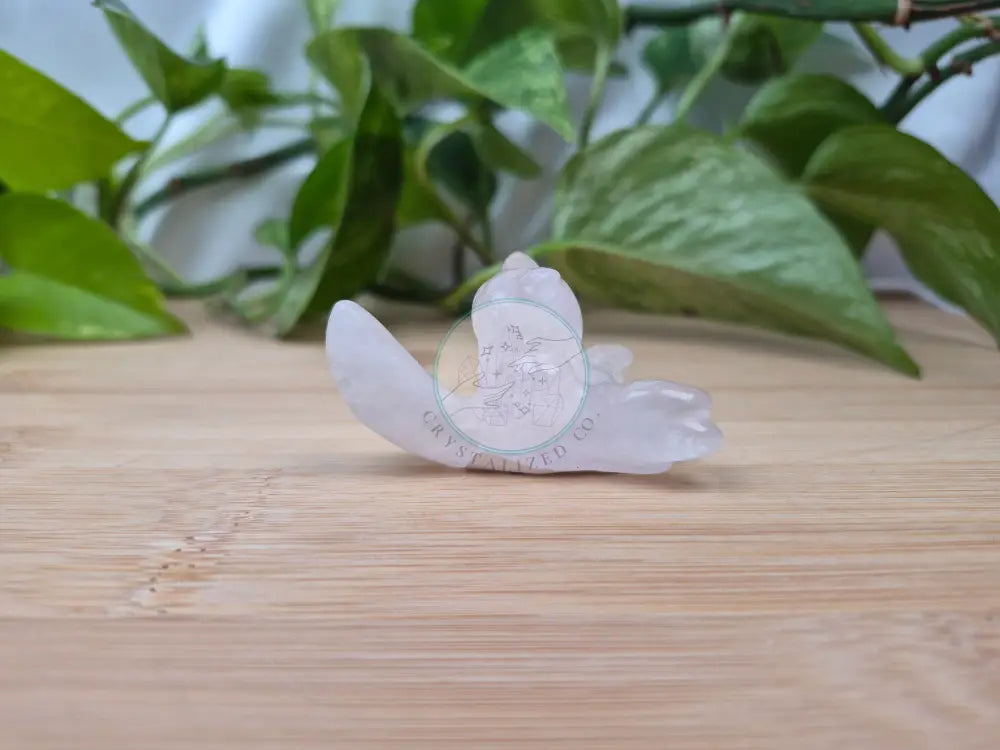 ROSE QUARTZ ABRA
