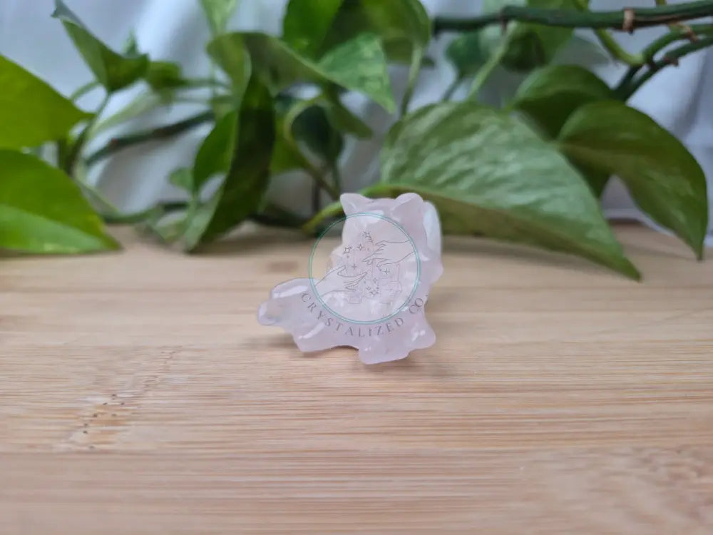 ROSE QUARTZ ABRA