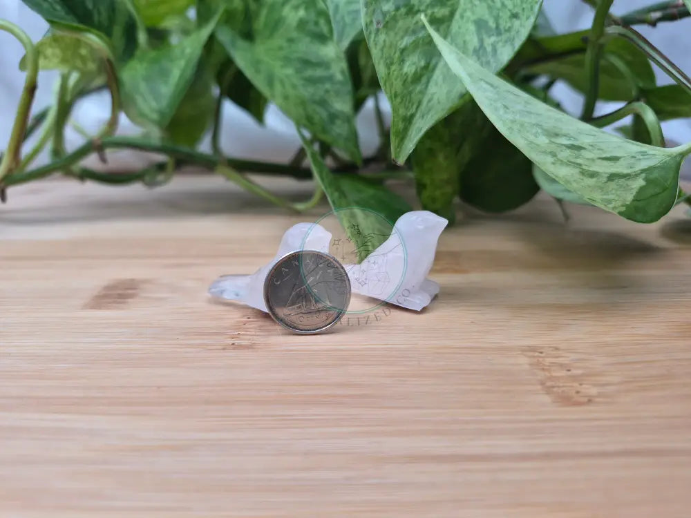 ROSE QUARTZ BIRD