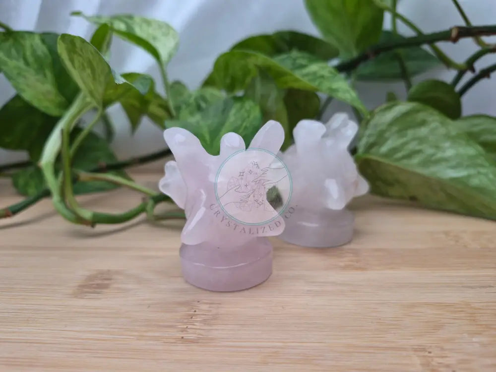 ROSE QUARTZ CORSOLA LG