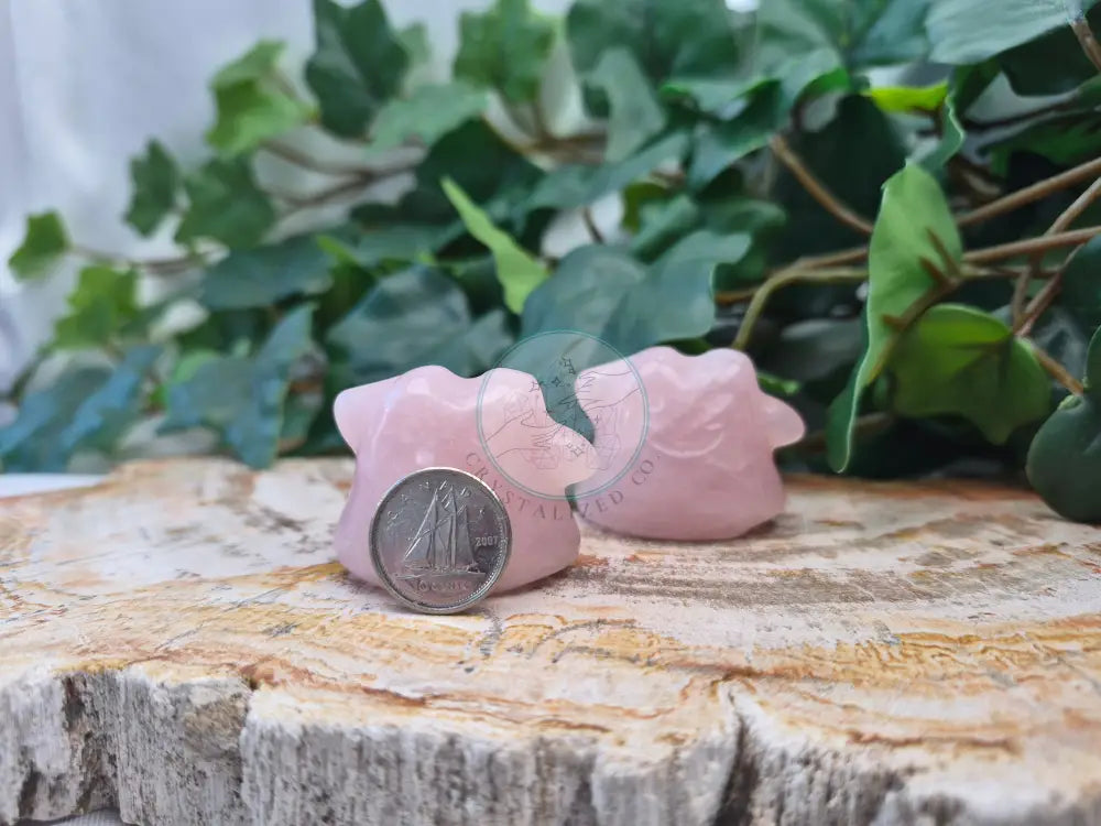 ROSE QUARTZ DITTO