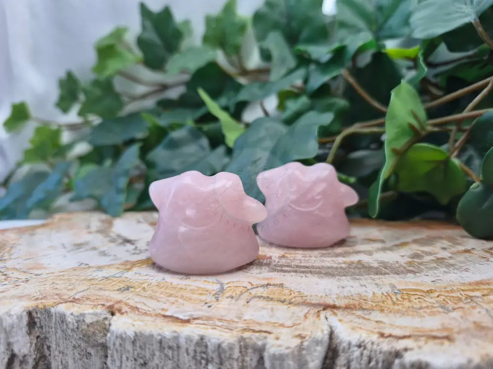 ROSE QUARTZ DITTO