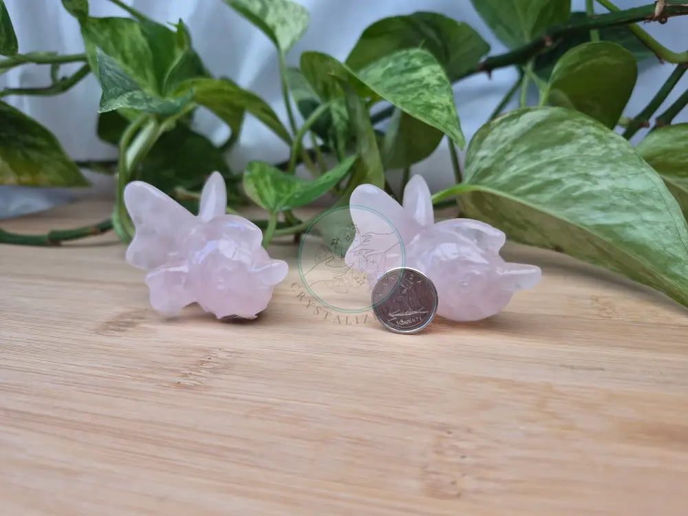 ROSE QUARTZ GOLDEEN LG