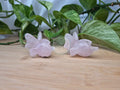 ROSE QUARTZ GOLDEEN LG