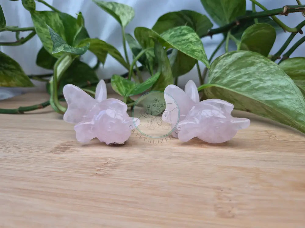 ROSE QUARTZ GOLDEEN LG