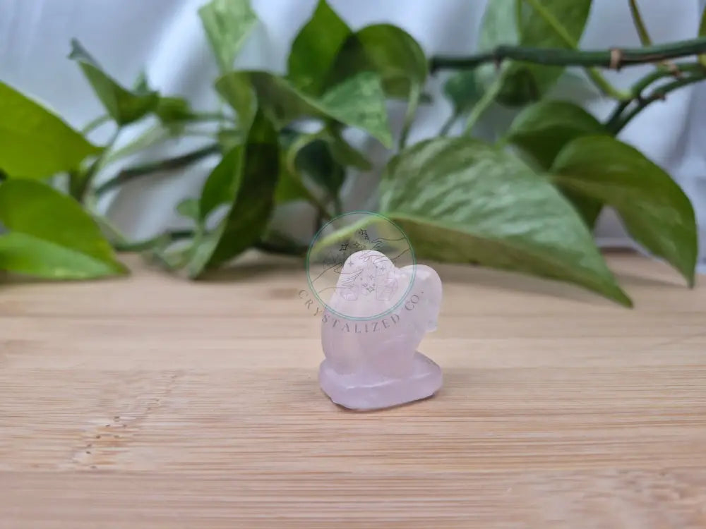 ROSE QUARTZ LICKITUNG