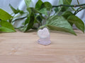 ROSE QUARTZ LICKITUNG