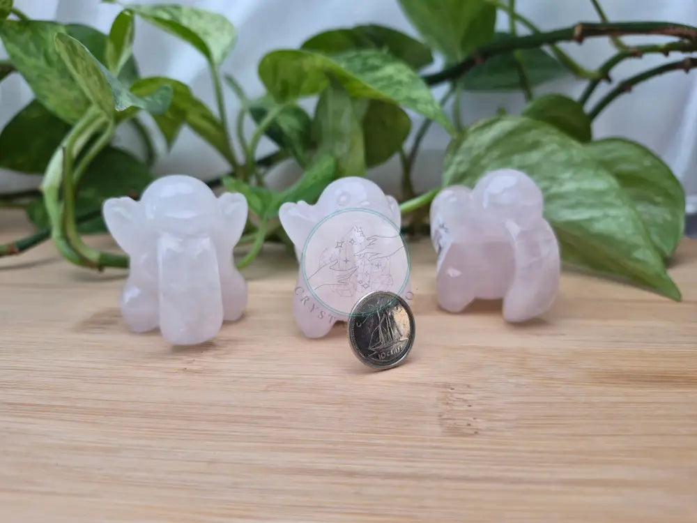 ROSE QUARTZ LICKITUNG LG