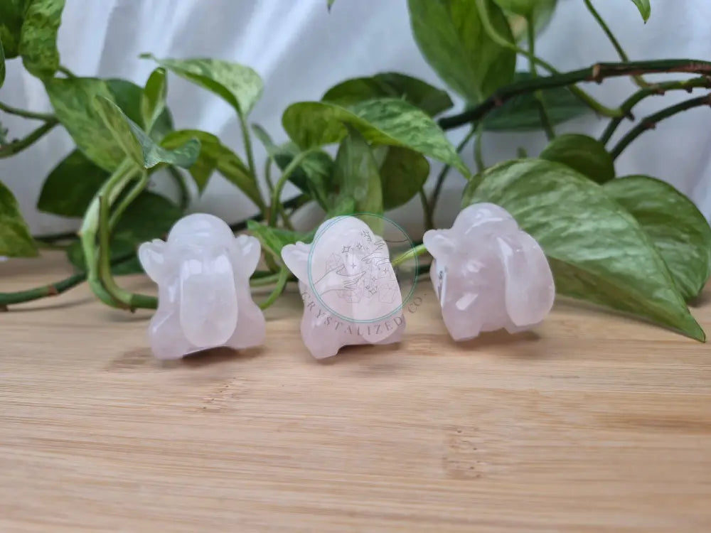 ROSE QUARTZ LICKITUNG LG