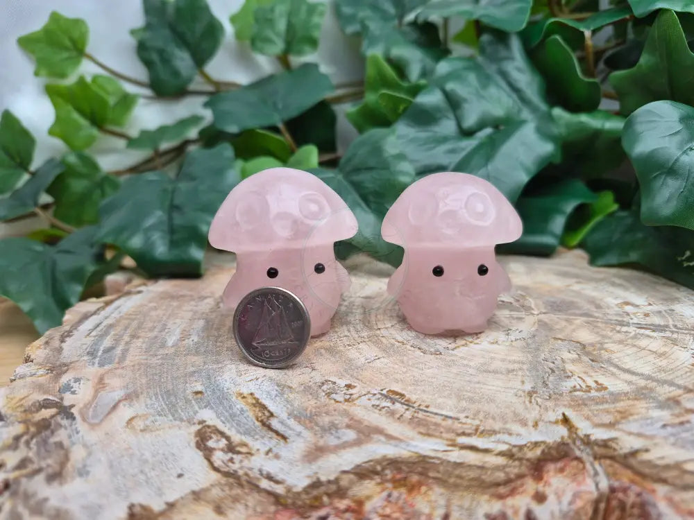 ROSE QUARTZ MUSHROOM MAN