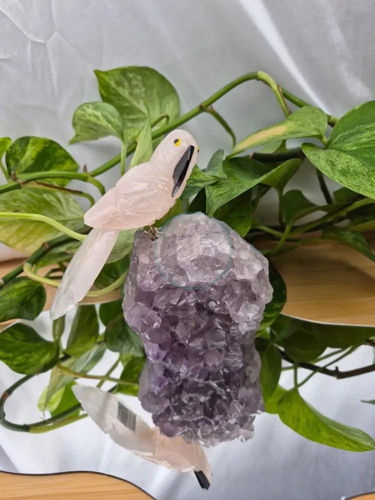 ROSE QUARTZ PARROT ON AMETHYST BASE