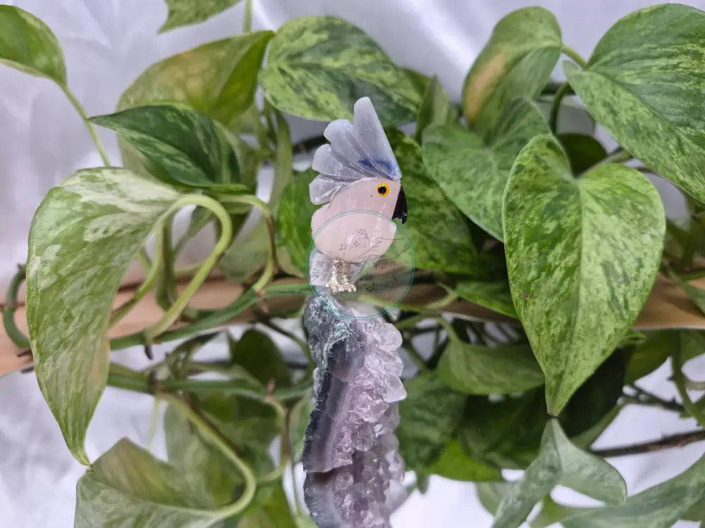 ROSE QUARTZ PARROT ON AMETHYST BASE