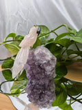 ROSE QUARTZ PARROT ON AMETHYST BASE