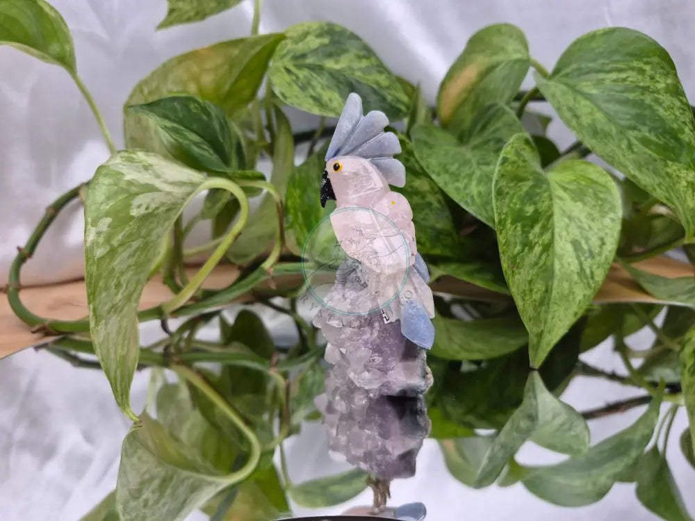 ROSE QUARTZ PARROT ON AMETHYST BASE