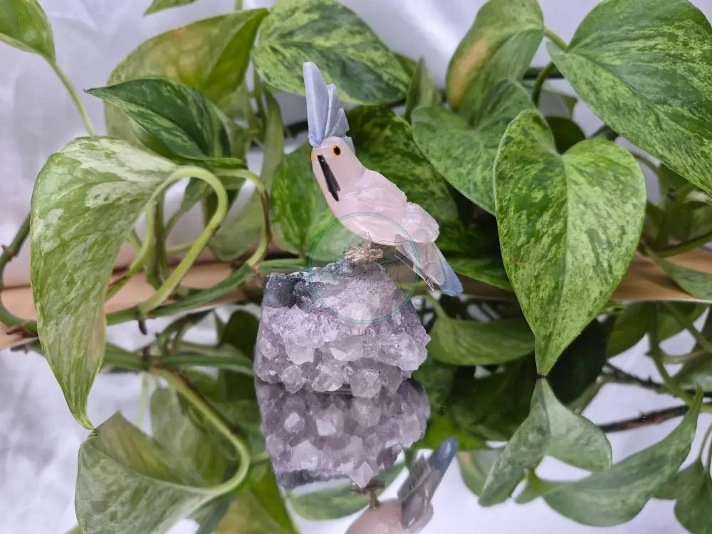 ROSE QUARTZ PARROT ON AMETHYST BASE