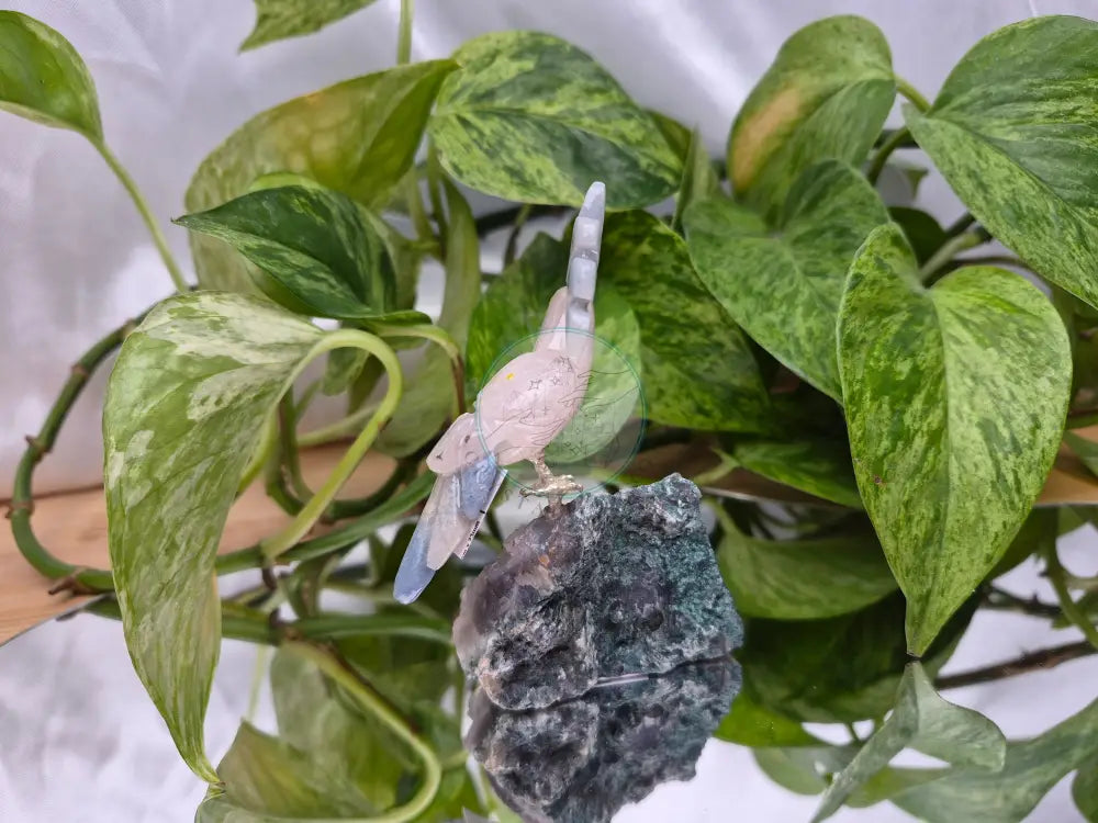 ROSE QUARTZ PARROT ON AMETHYST BASE