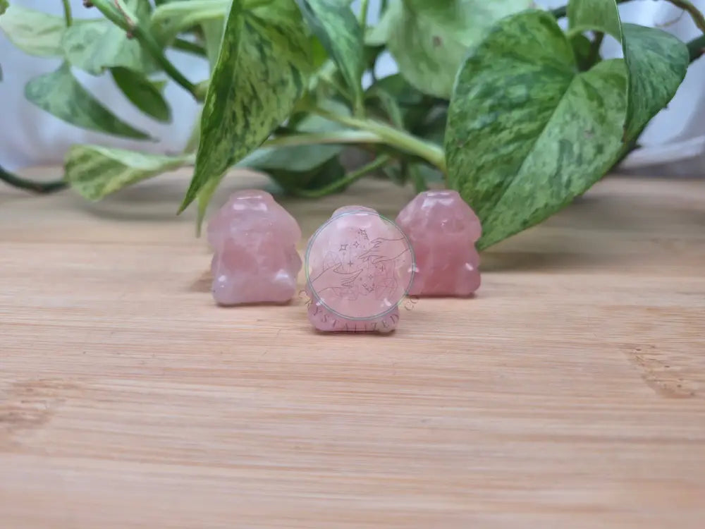 ROSE QUARTZ POMPOM PURIN HK FRIEND