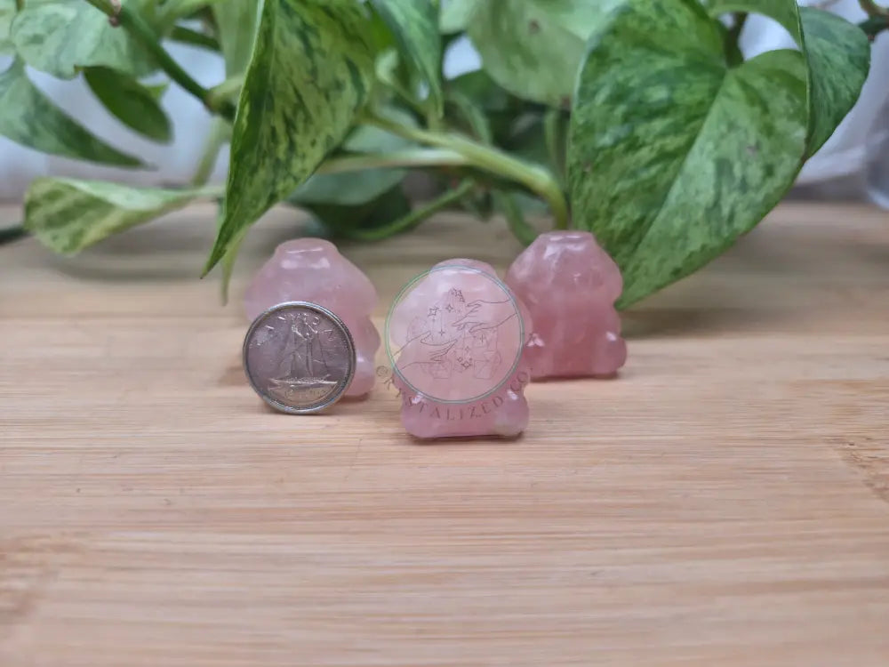 ROSE QUARTZ POMPOM PURIN HK FRIEND