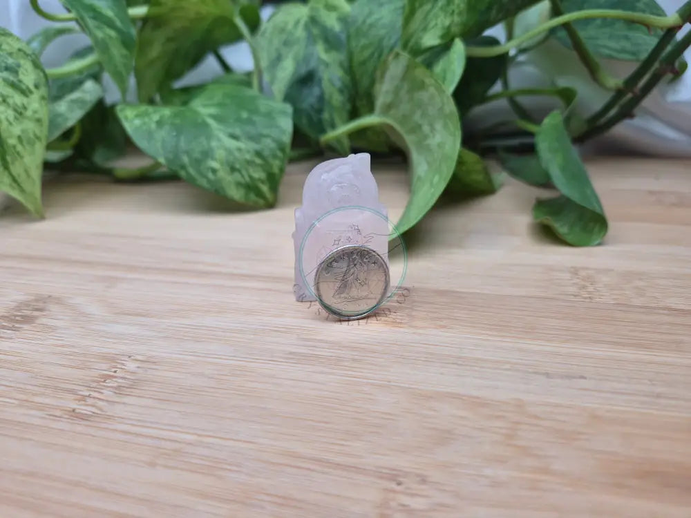 ROSE QUARTZ R2D2