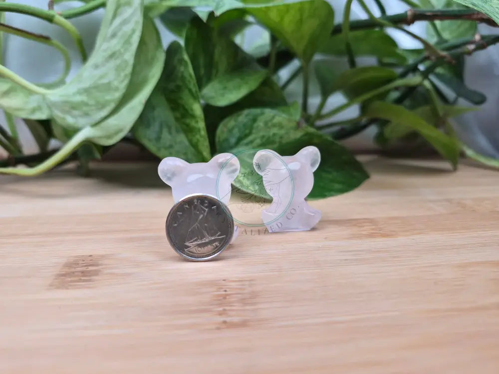 ROSE QUARTZ TEDDIURA