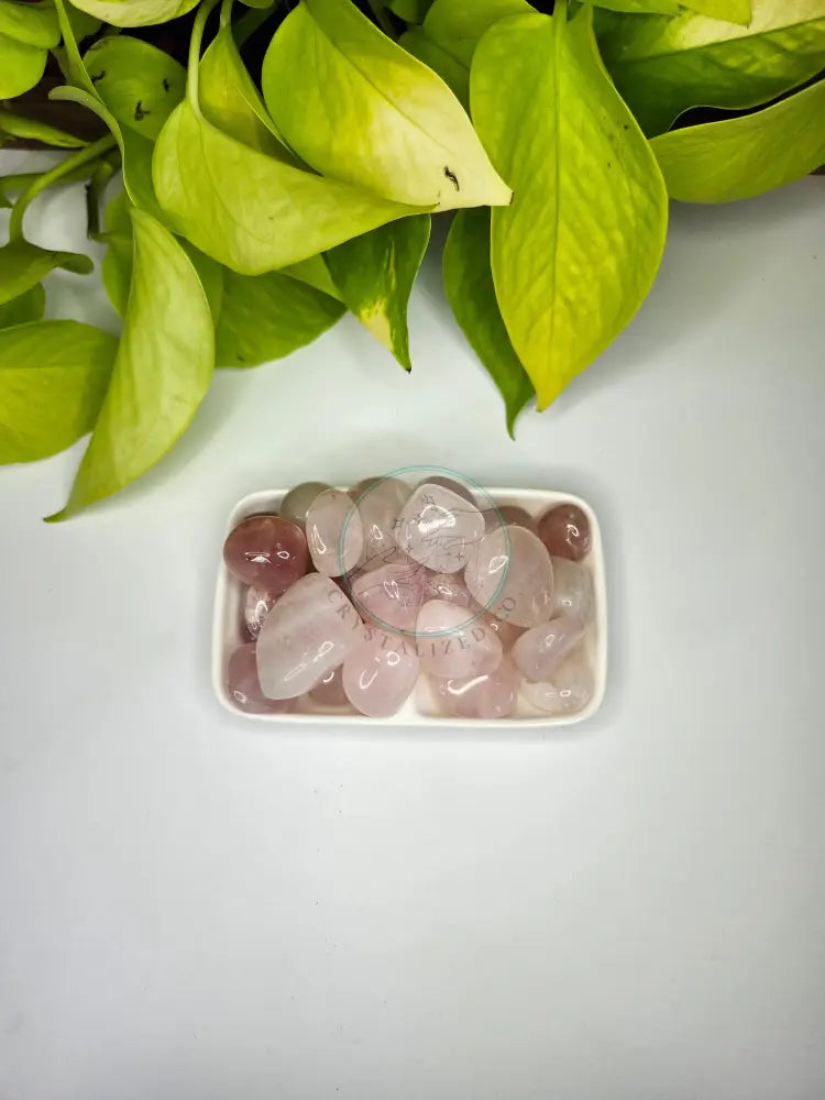 ROSE QUARTZ TUMBLED STONE - TUMBLED STONES
