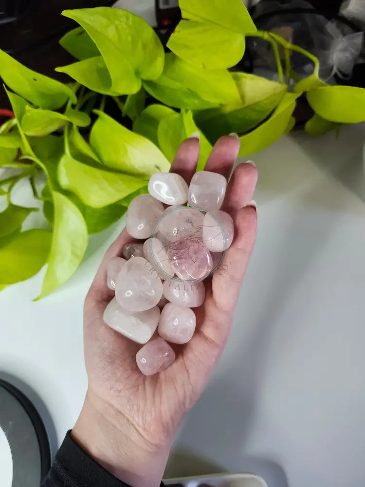 ROSE QUARTZ TUMBLED STONE - TUMBLED STONES