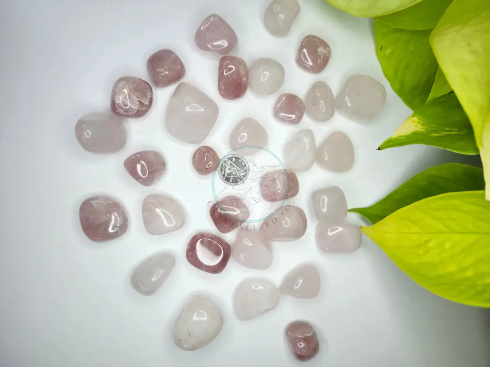 ROSE QUARTZ TUMBLED STONE - TUMBLED STONES