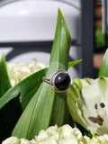 S5.5 OBSIDIAN RING.925 STERLING SILVER