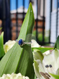 S5 LAPIS LAZULI RING.925 STERLING SILVER