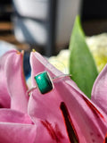 S7 MALACHITE.925 STERLING SILVER
