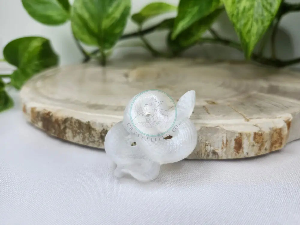 SELENITE SNAKE