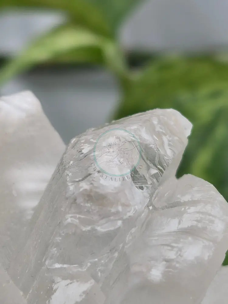 SELENITE SPECIMEN