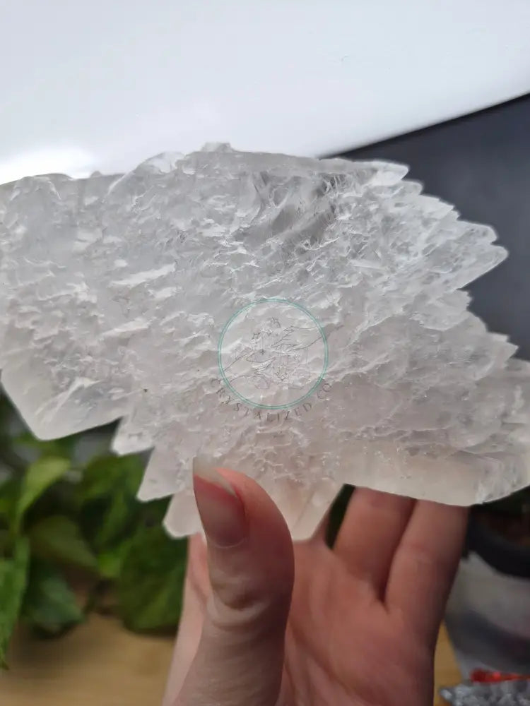 SELENITE SPECIMEN