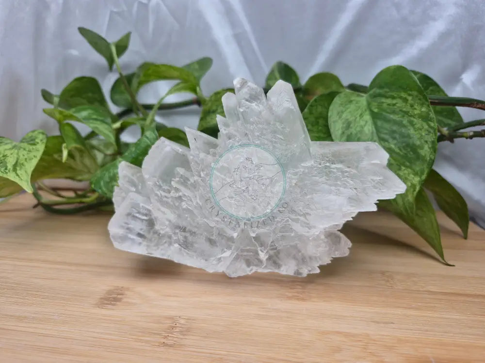 SELENITE SPECIMEN