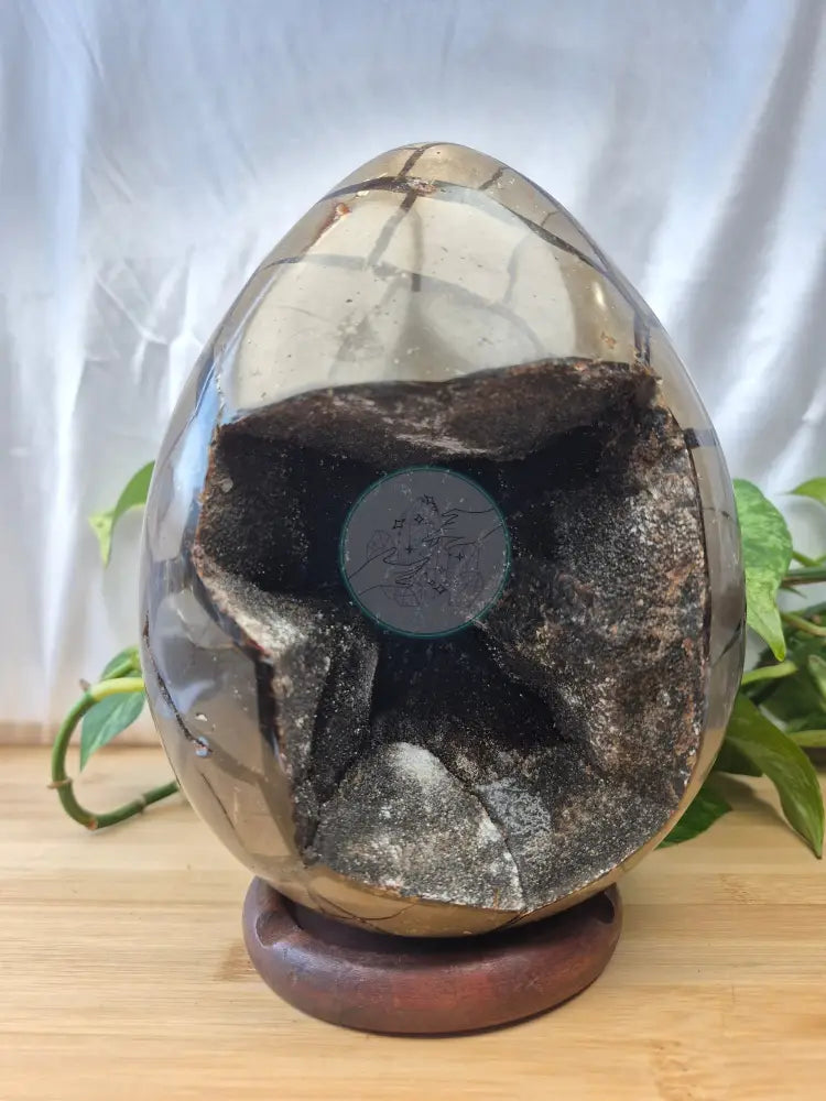 SEPTARIAN DRAGON EGG