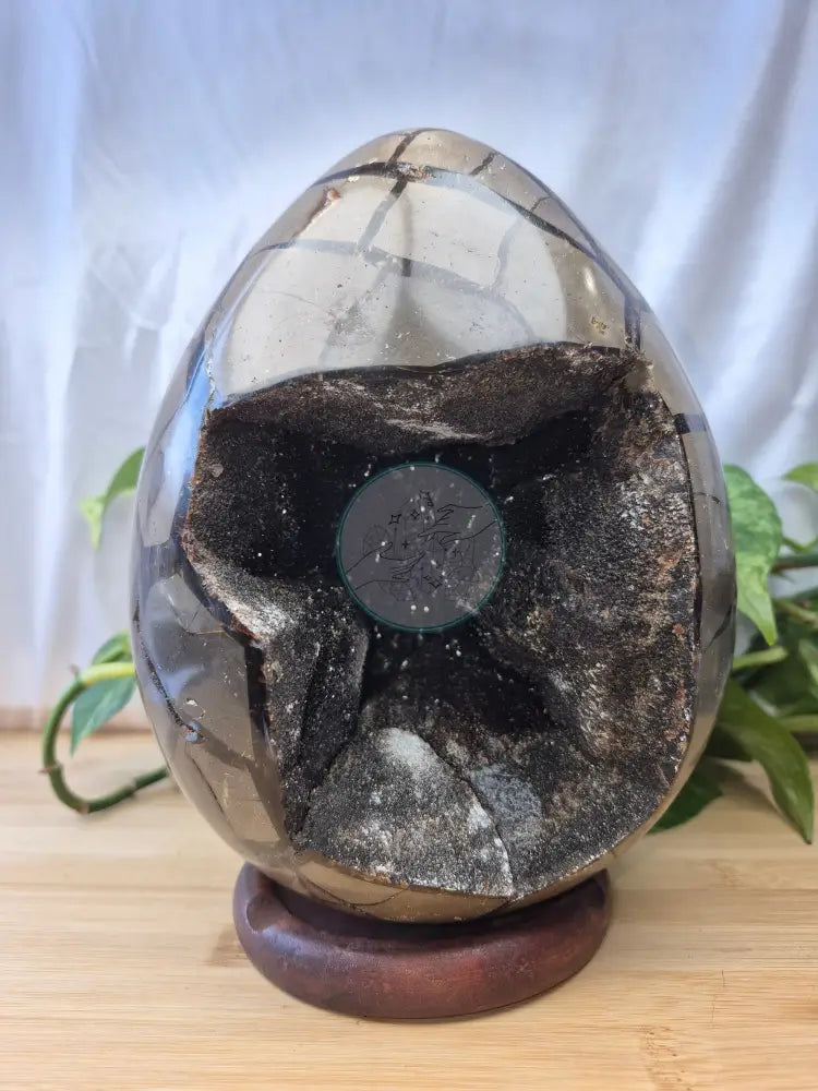 SEPTARIAN DRAGON EGG