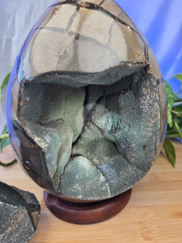 SEPTARIAN DRAGON EGG