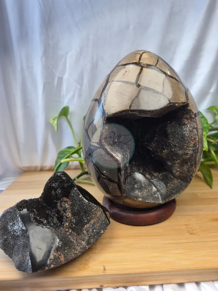 SEPTARIAN DRAGON EGG