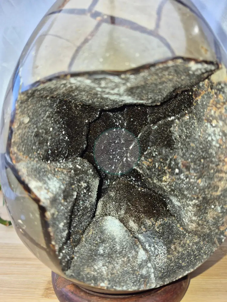SEPTARIAN DRAGON EGG