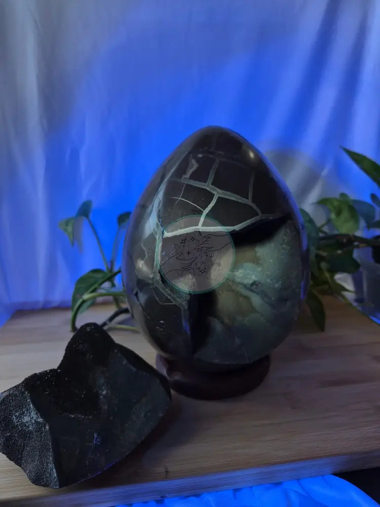 SEPTARIAN DRAGON EGG