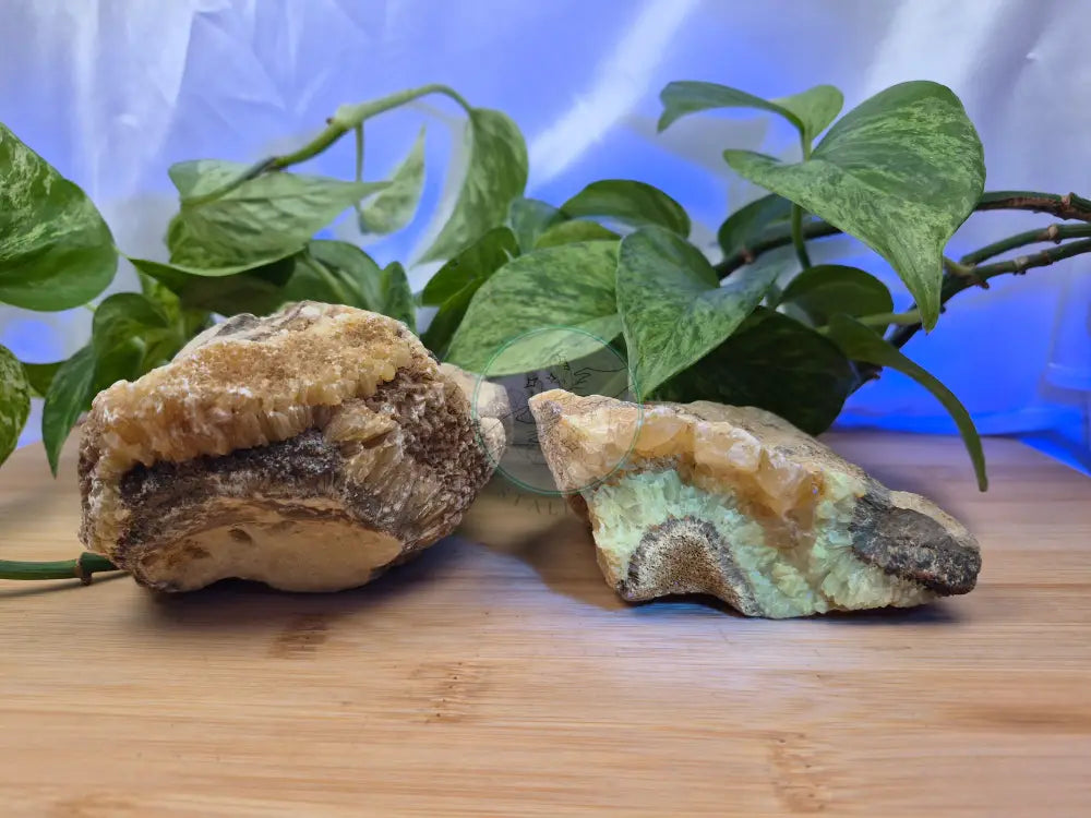 SEPTARIAN ROUGH CHUNK